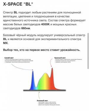 IMG_8730.jpeg
