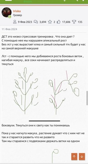 IMG_8791.jpeg