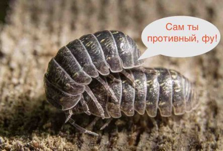 12.jpg 12.jpg