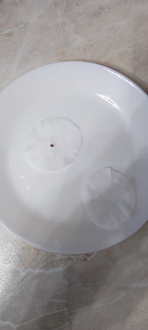 1000010554.jpg