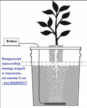 схема горшка.jpg схема горшка.jpg