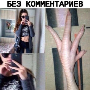 IMG_6479.jpeg