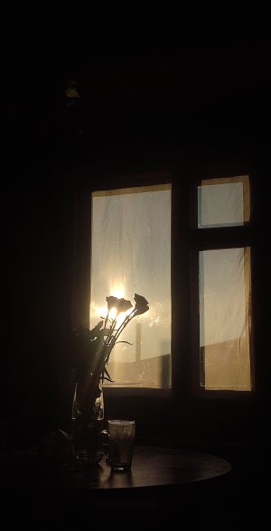 IMG_20240824_191815.jpg