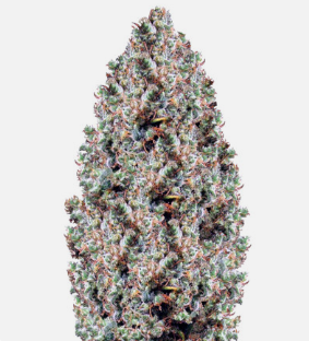 1726139511720.png