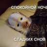 Смакопук